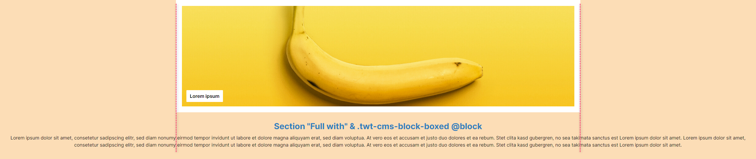 "Full with" section with a specific, centred CMS block